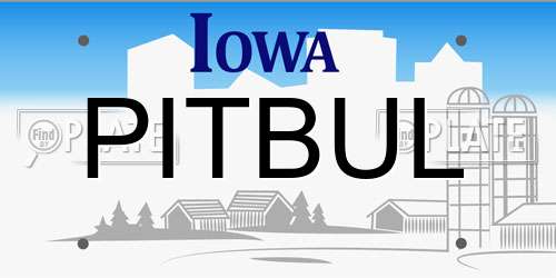 PITBUL Iowa License Plate