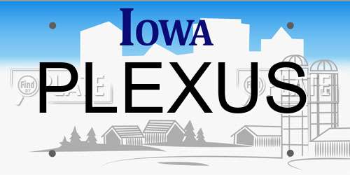 PLEXUS Iowa License Plate