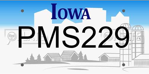 PMS229 Iowa License Plate
