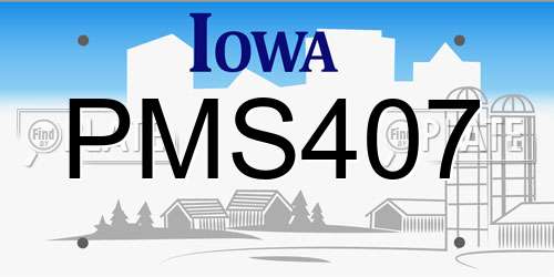 PMS407 Iowa License Plate