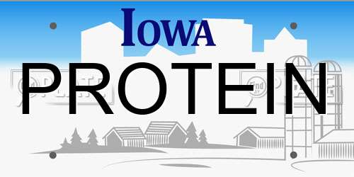 PROTEIN Iowa License Plate