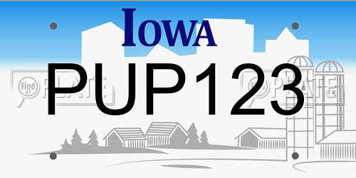 PUP123 Iowa License Plate