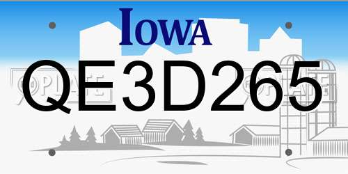 QE3D265 Iowa License Plate