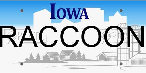 RACCOON Iowa License Plate