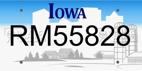 RM55828 Iowa License Plate