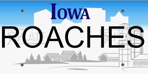 ROACHES Iowa License Plate