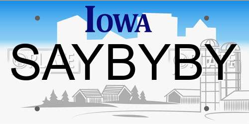 SAYBYBY Iowa License Plate