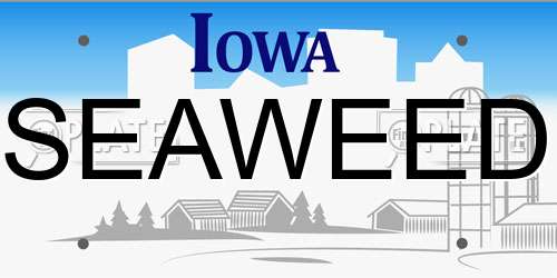 SEAWEED Iowa License Plate