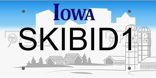SKIBID1 Iowa License Plate