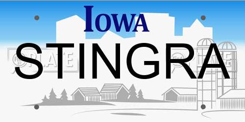 STINGRA Iowa License Plate