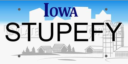 STUPEFY Iowa License Plate