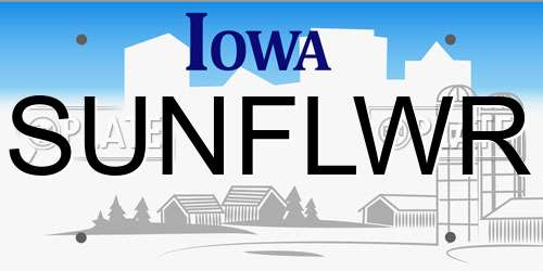 SUNFLWR Iowa License Plate