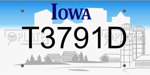 T3791D Iowa License Plate