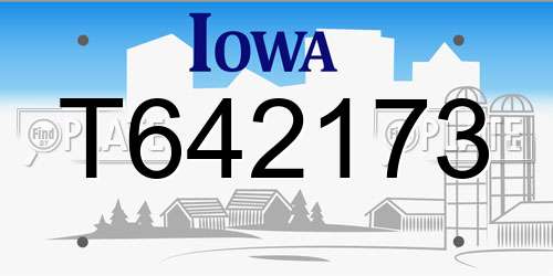T642173 Iowa License Plate