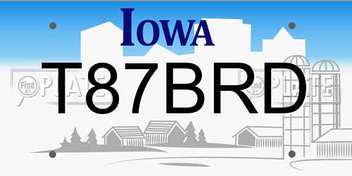 T87BRD Iowa License Plate