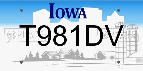 T981DV Iowa License Plate
