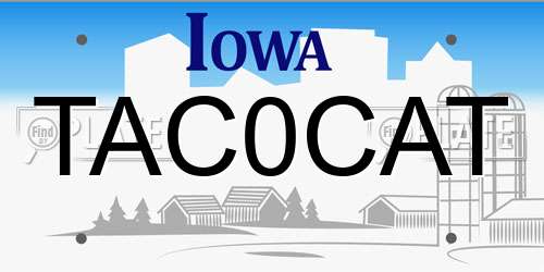 TAC0CAT Iowa License Plate