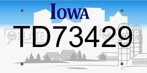 TD73429 Iowa License Plate
