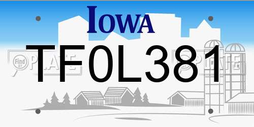 TF0L381 Iowa License Plate