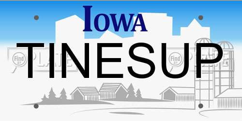 TINESUP Iowa License Plate