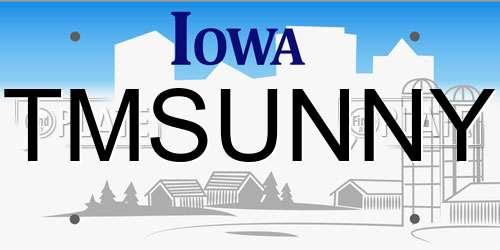 TMSUNNY Iowa License Plate