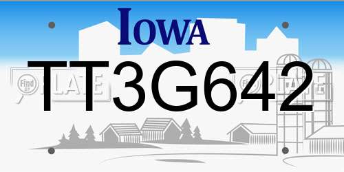 TT3G642 Iowa License Plate