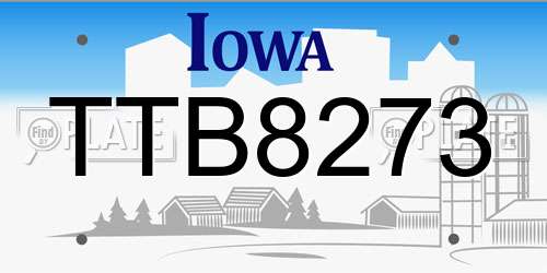 TTB8273 Iowa License Plate