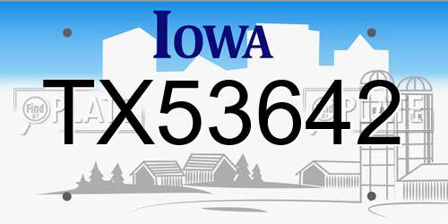 TX53642 Iowa License Plate