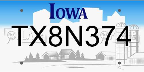 TX8N374 Iowa License Plate