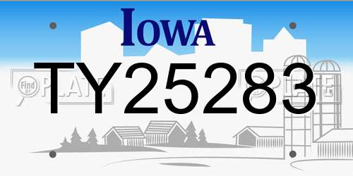 TY25283 Iowa License Plate