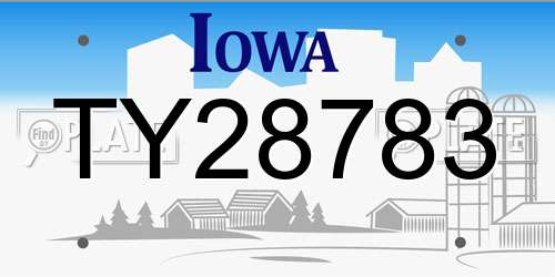 TY28783 Iowa License Plate