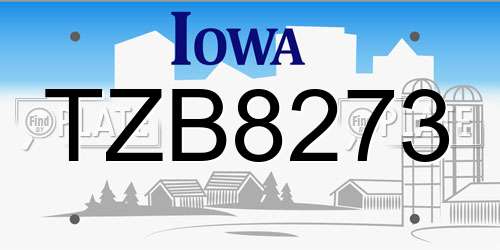 TZB8273 Iowa License Plate