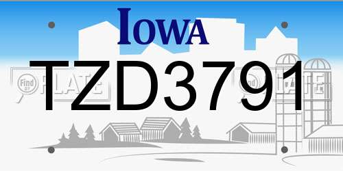 TZD3791 Iowa License Plate