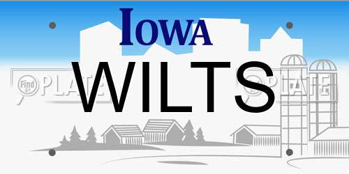 WILTS Iowa License Plate