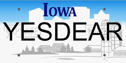 YESDEAR Iowa License Plate