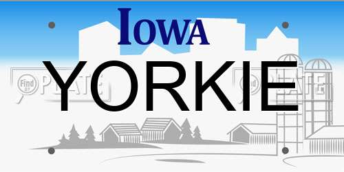 YORKIE Iowa License Plate