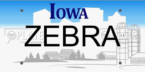 ZEBRA Iowa License Plate