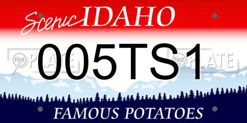 005TS1 Idaho License Plate