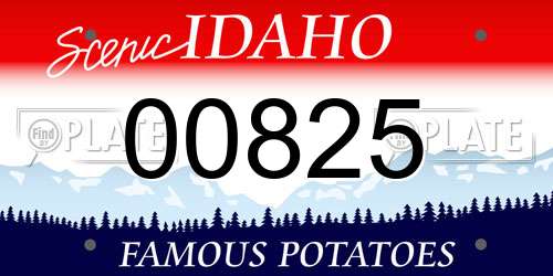 00825 Idaho License Plate