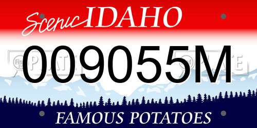 009055M Idaho License Plate
