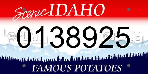 0138925 Idaho License Plate