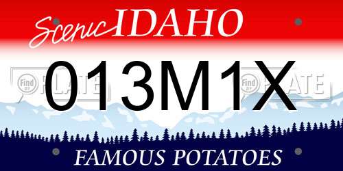013M1X Idaho License Plate