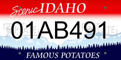01AB491 Idaho License Plate