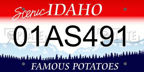 01AS491 Idaho License Plate