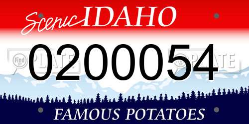 0200054 Idaho License Plate