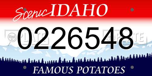 0226548 Idaho License Plate