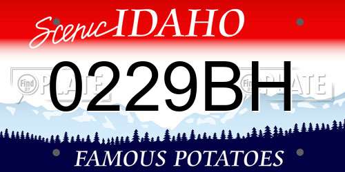 0229BH Idaho License Plate