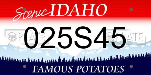 025S45 Idaho License Plate
