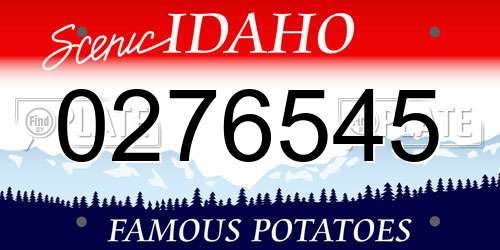 0276545 Idaho License Plate