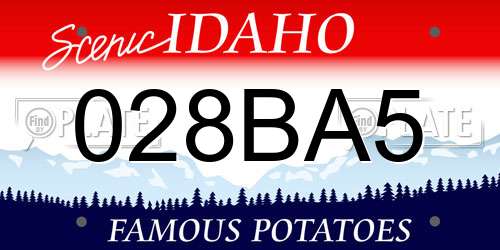 028BA5 Idaho License Plate